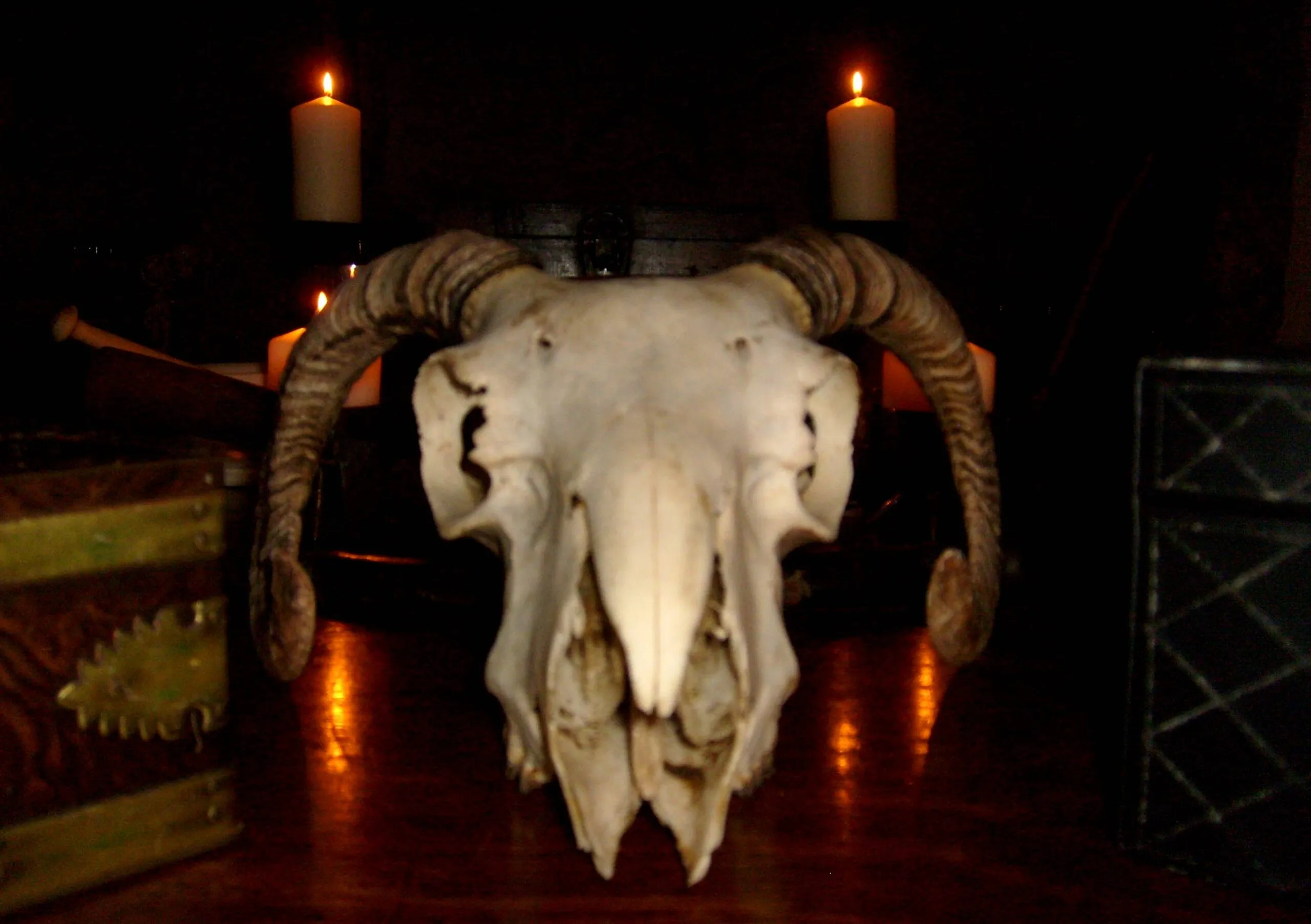 Quero me transformar em vampiro - pt final