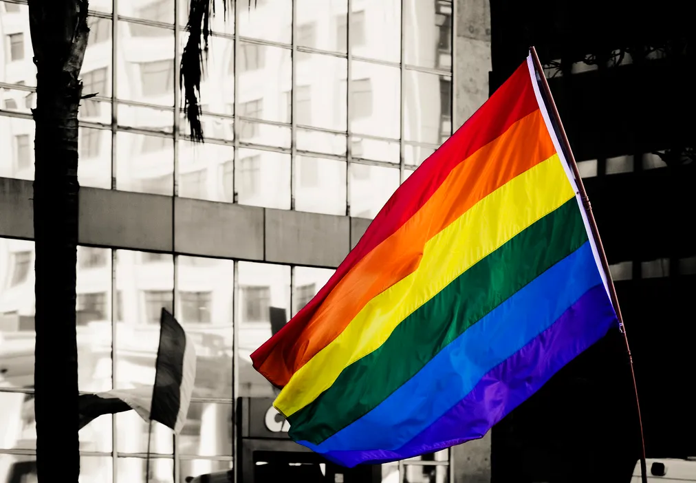São os vampiros gays?