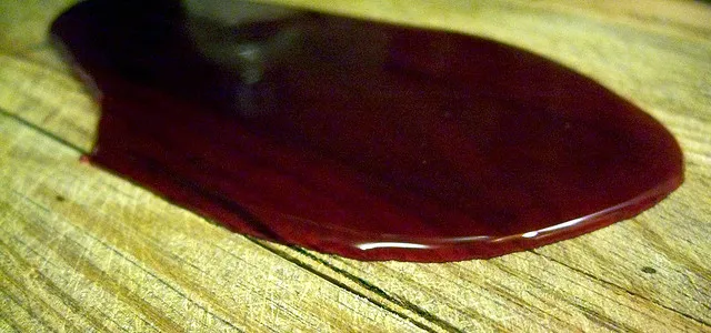 A morte do meu irmão Zé