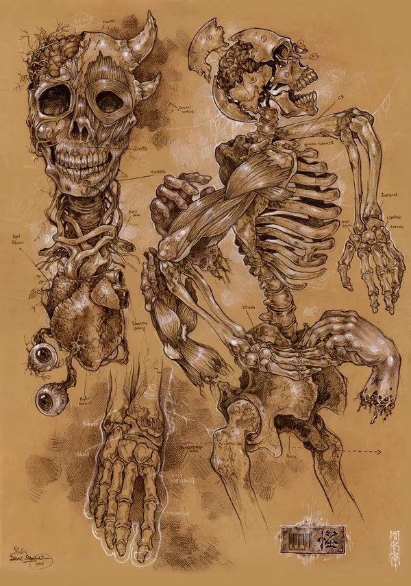 Rascunhos sobre anatomia vampírica