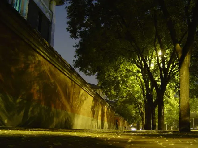 Caçando na noite paulistana